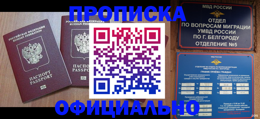 найти адрес прописки в Гатчине