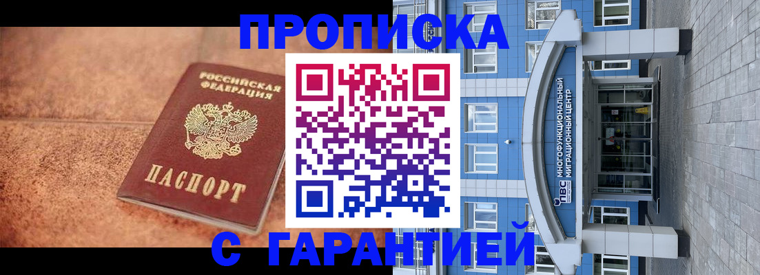 где прописаться в Гатчине